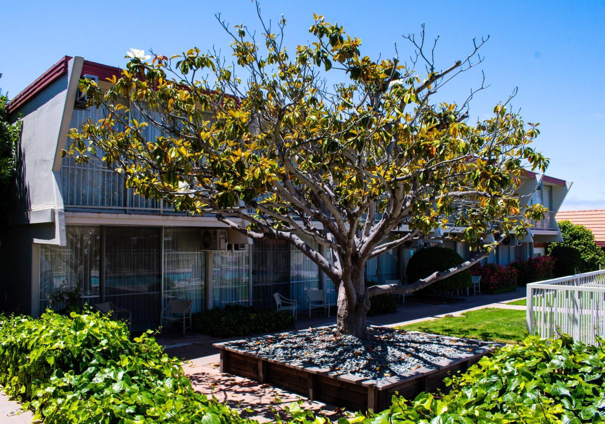 Travelodge By Wyndham Monterey Bay Ngoại thất bức ảnh